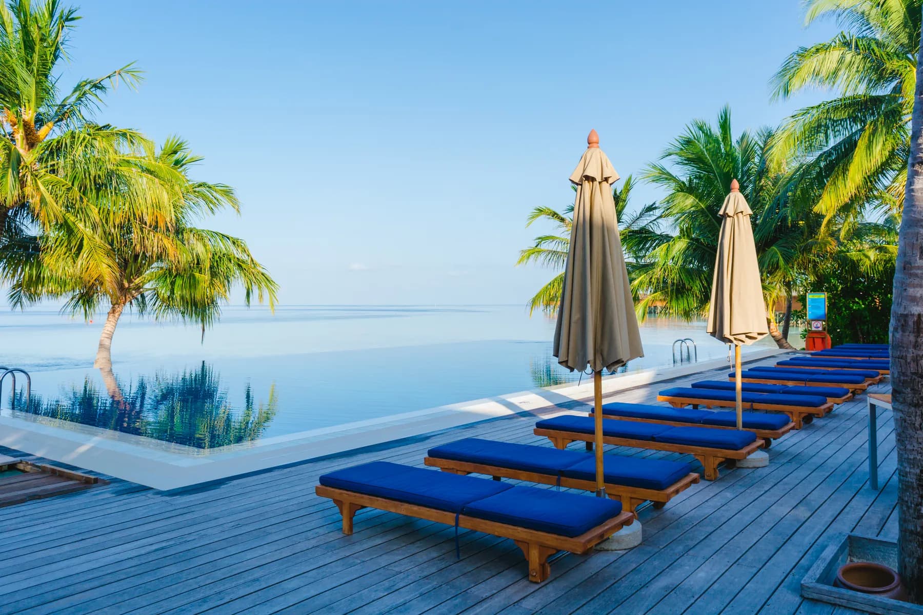 Infinity pool with loungers and palms at a beachfront resort